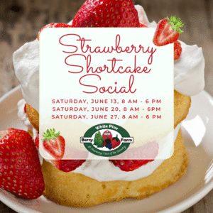 StrawberryShortcakeJune13