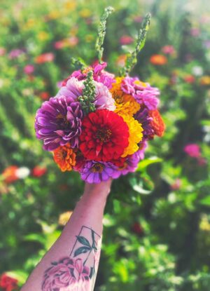 zinnias4RachelYuenGaetz