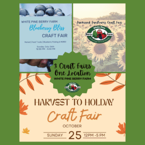 3CraftFairs