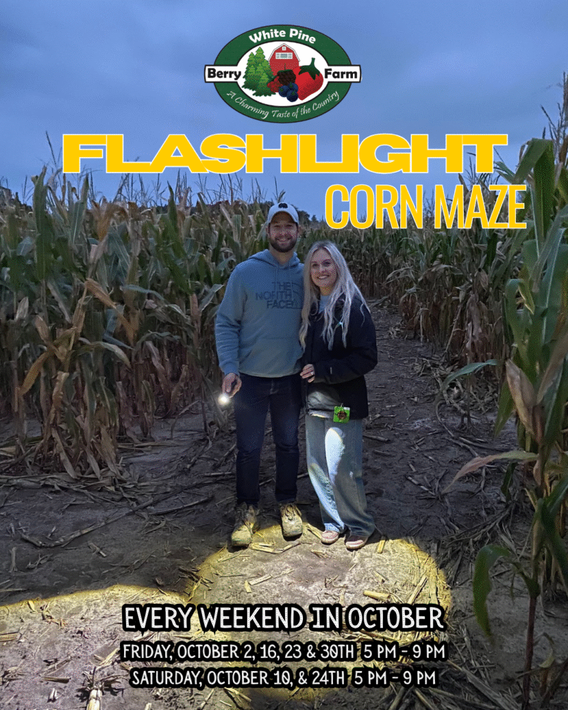 FlashlightCornMaze