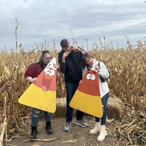 cornmaze4 cornmaze4