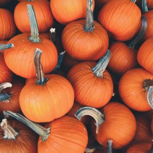 orange-pumpkins_M059E39Y08