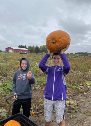 Pumpkins